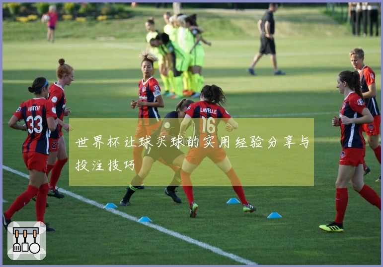 世界杯让球买球的实用经验分享与投注技巧
