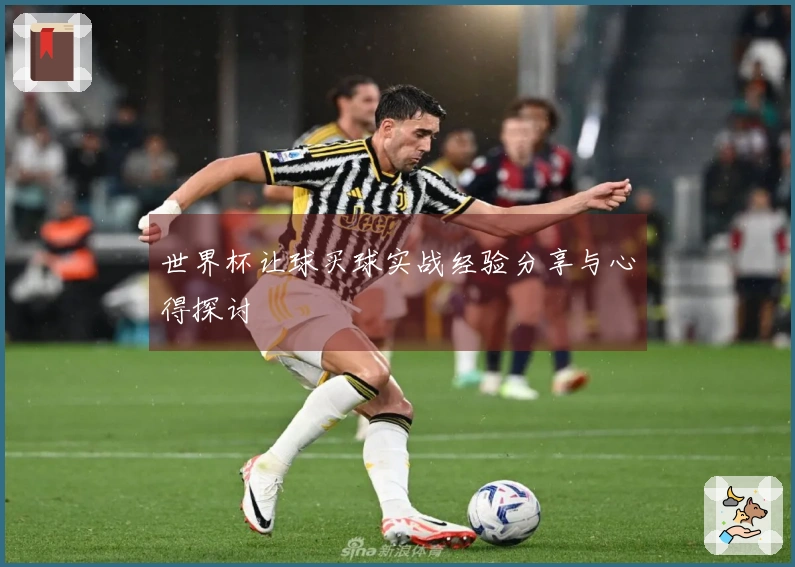 世界杯让球买球实战经验分享与心得探讨