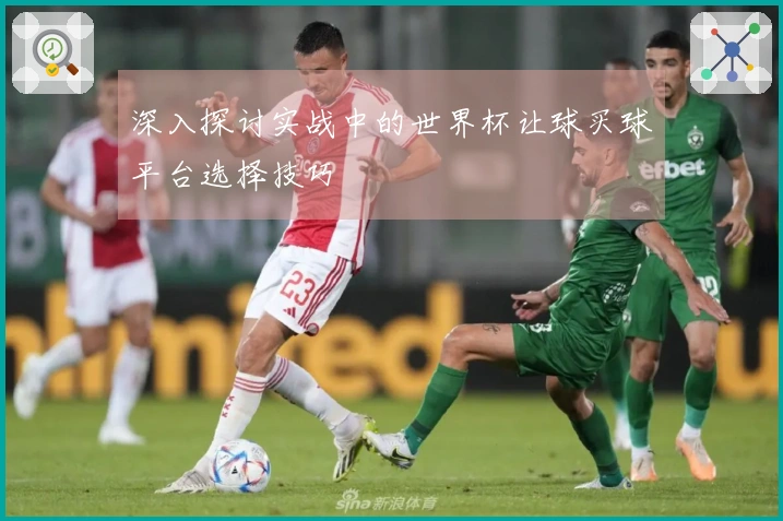 深入探讨实战中的世界杯让球买球平台选择技巧