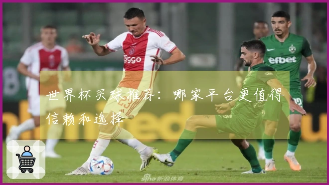 世界杯买球推荐：哪家平台更值得信赖和选择