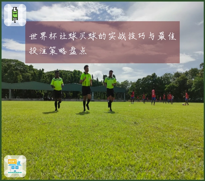 世界杯让球买球的实战技巧与最佳投注策略盘点