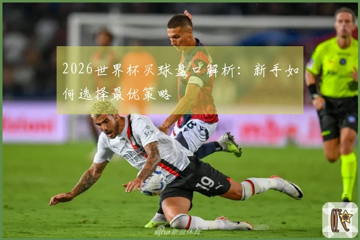 2026世界杯买球盘口解析：新手如何选择最优策略