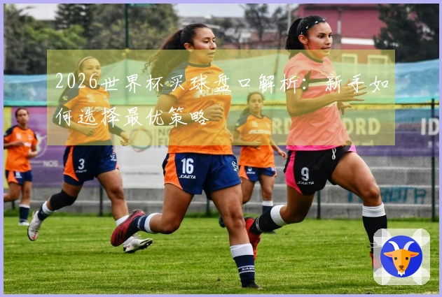 2026世界杯买球盘口解析：新手如何选择最优策略