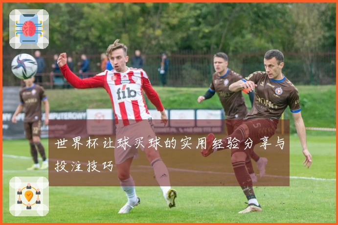 世界杯让球买球的实用经验分享与投注技巧