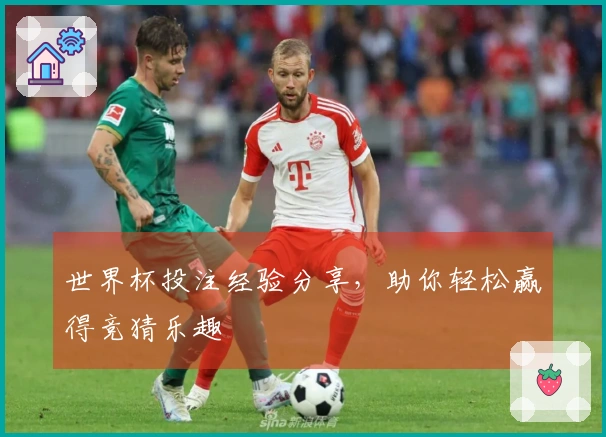 世界杯投注经验分享，助你轻松赢得竞猜乐趣