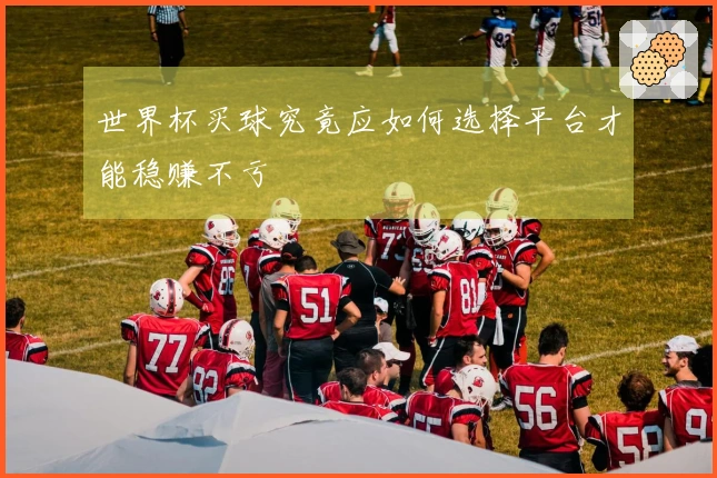 世界杯买球究竟应如何选择平台才能稳赚不亏