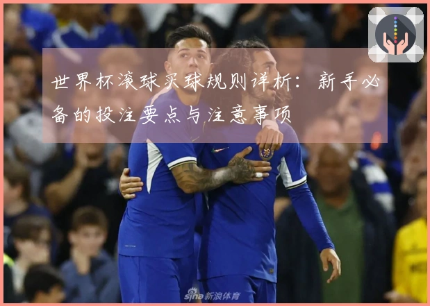 世界杯滚球买球规则详析：新手必备的投注要点与注意事项