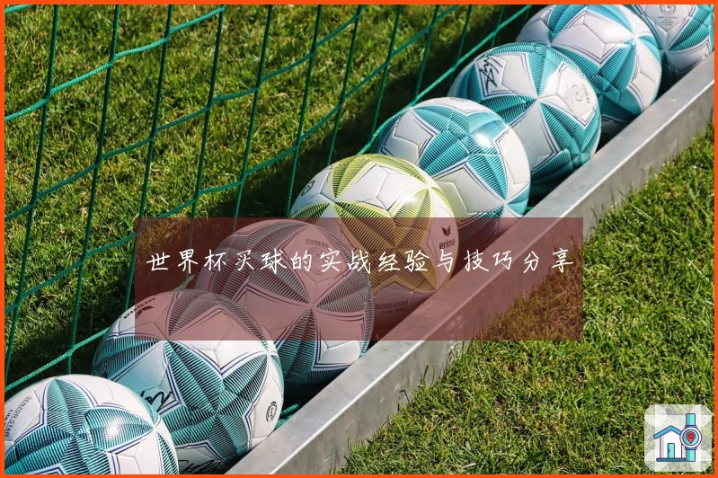 世界杯买球的实战经验与技巧分享