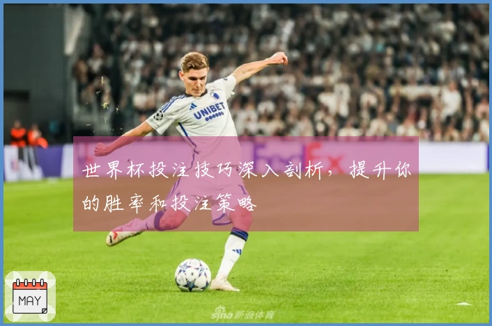 世界杯投注技巧深入剖析，提升你的胜率和投注策略