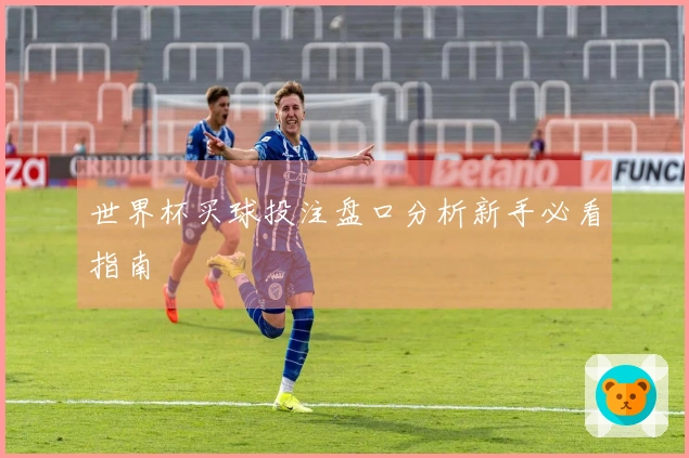 世界杯买球投注盘口分析新手必看指南